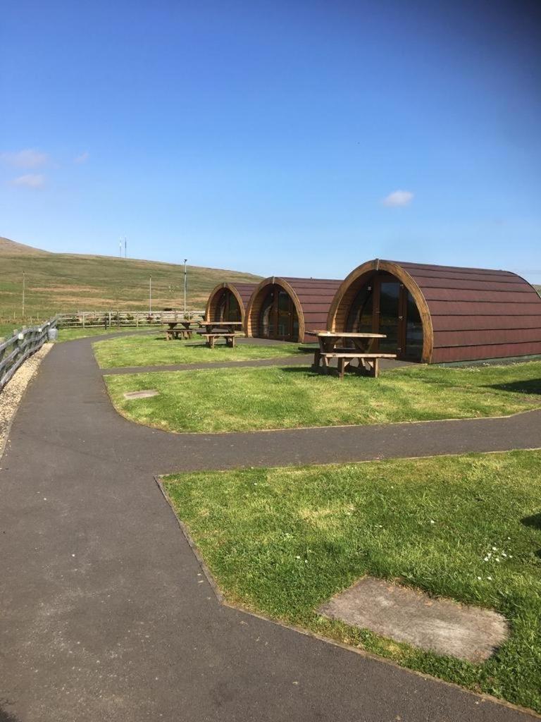 Standing Stones Lodge Belfast Exterior photo